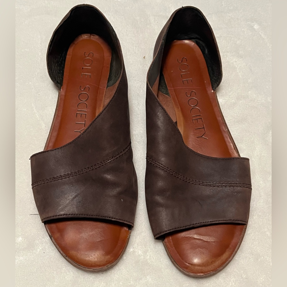 Sole Society Dark Brown Leather Sandals